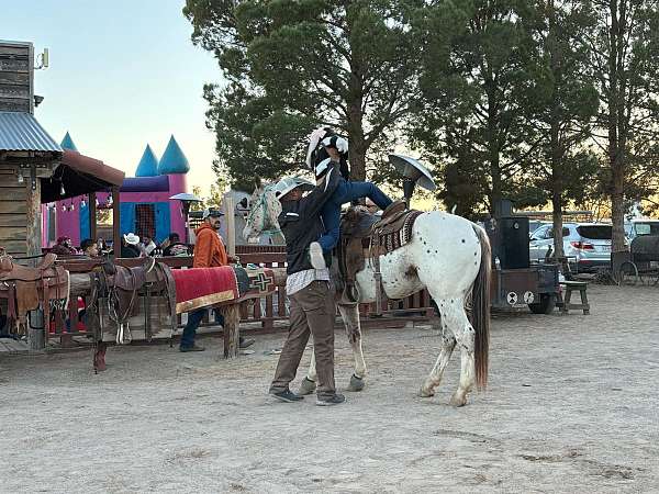 bareback-quarter-horse