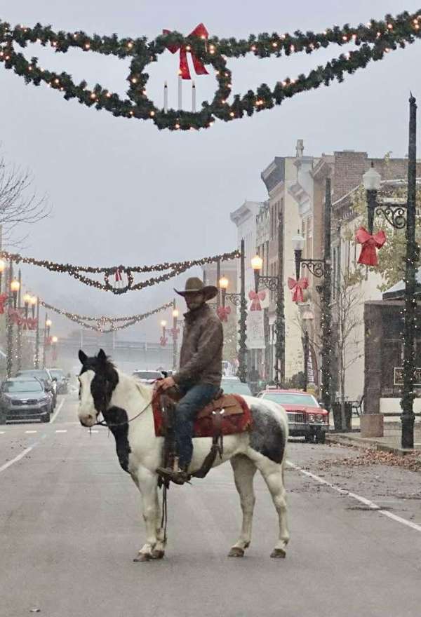 ranch-work-quarter-horse