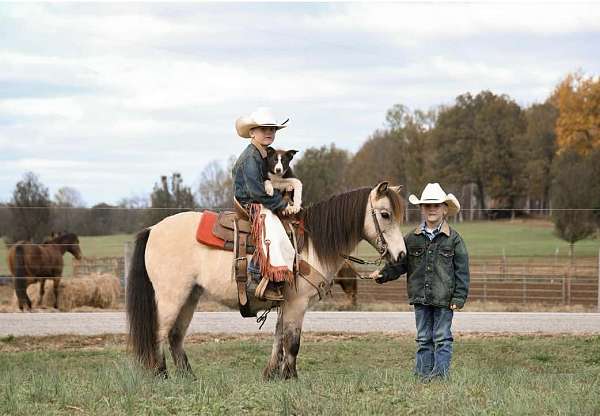 red-roan-blaze-horse