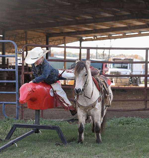 family-horse-quarter