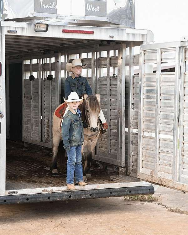 calf-roping-quarter-horse