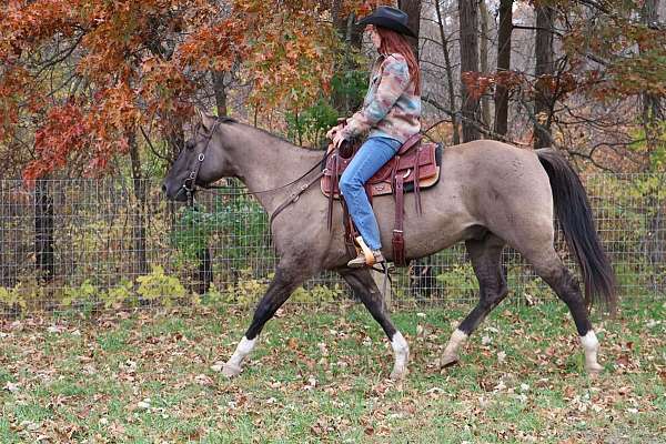 family-horse-quarter