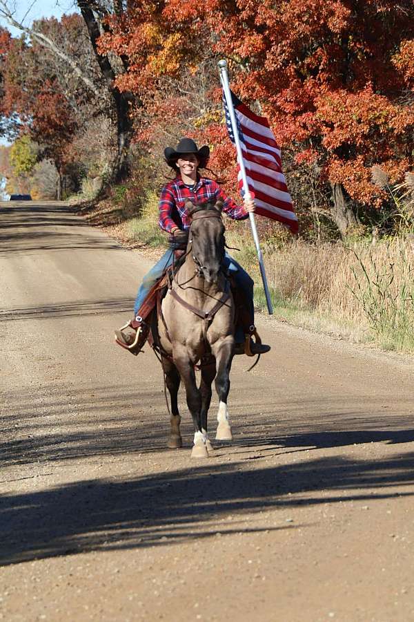 flashy-quarter-horse