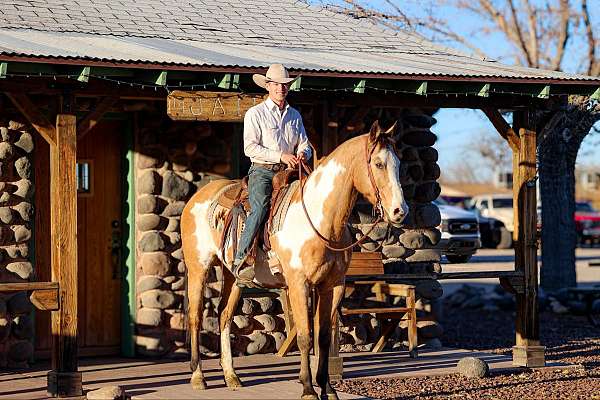 flashy-quarter-horse