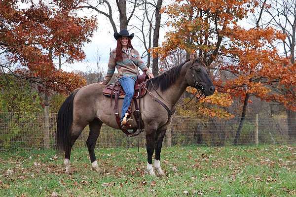 ranch-versatility-quarter-horse