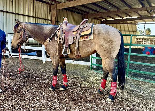 buckskin-left-hip-brand-horse