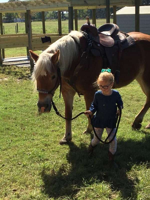 chestnut-flaxen-mane-tail-horse