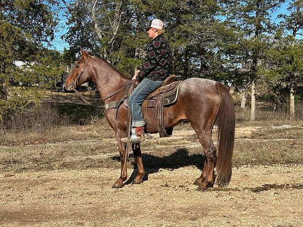 flashy-quarter-horse