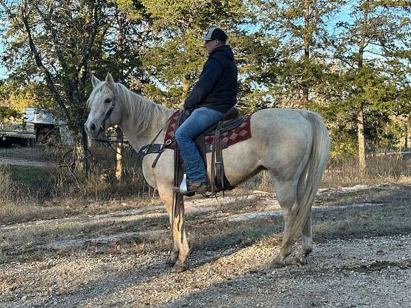 flashy-quarter-horse