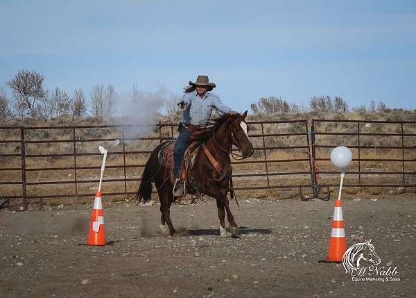 start-little-lean-horse