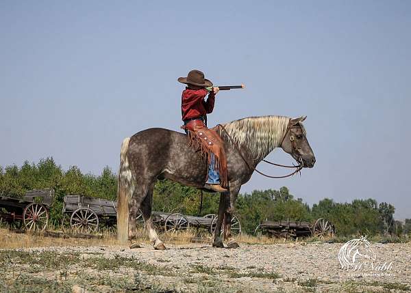 beginner-pony