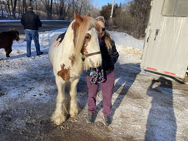 tobiano-white-base-w-red-splash-horse