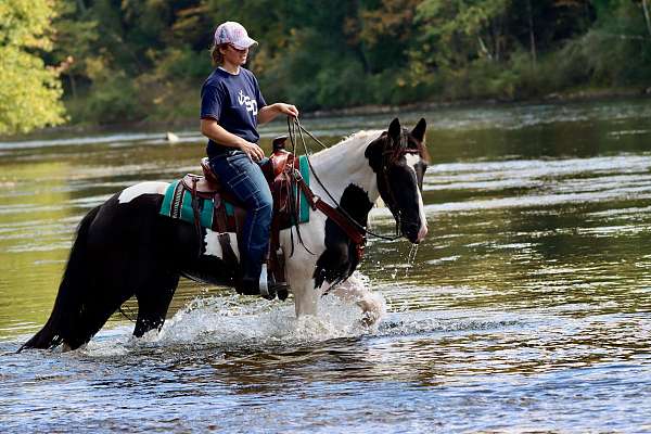 project-friesian-horse