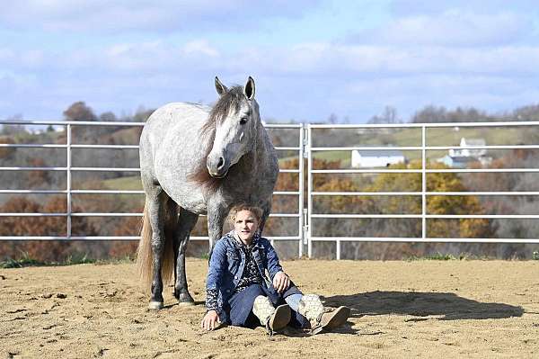 jumping-pony