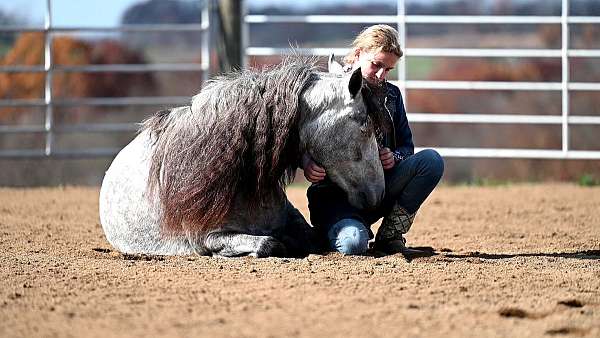 playday-pony