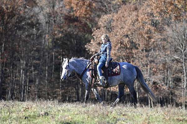 trail-riding-pony