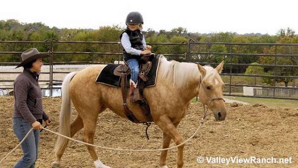 ranch-quarter-horse