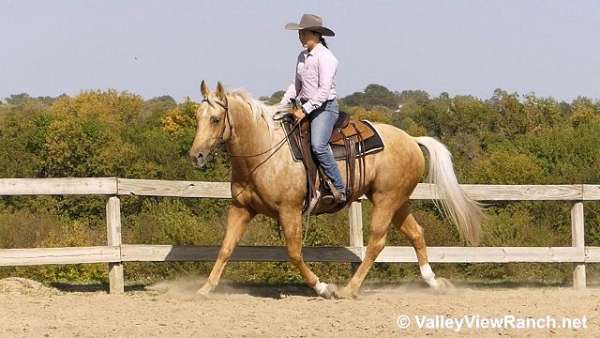 ranch-versatility-quarter-horse