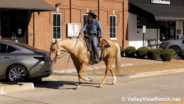 reined-cow-quarter-horse