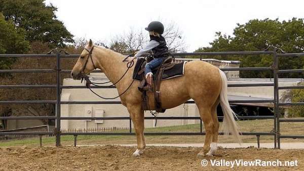 reining-quarter-horse