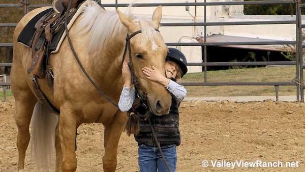 roping-quarter-horse