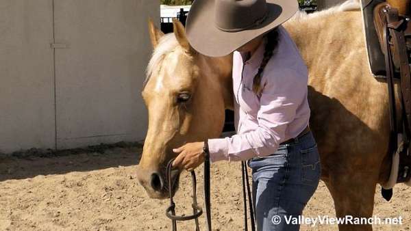 palomino-cowboy-mounted-shooting-horse