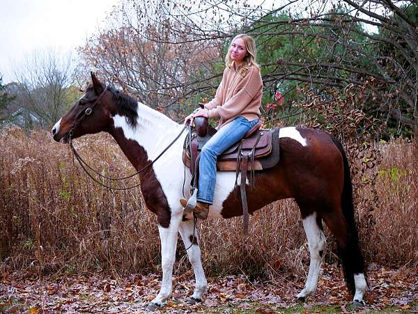 tobiano-see-pics-horse