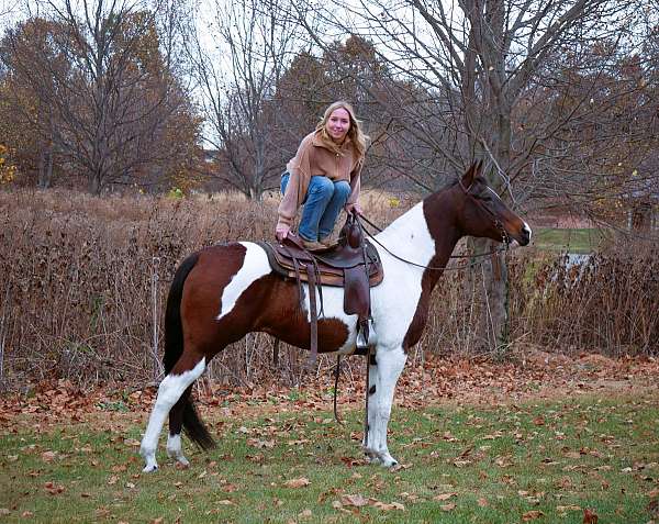 husband-safe-paint-horse