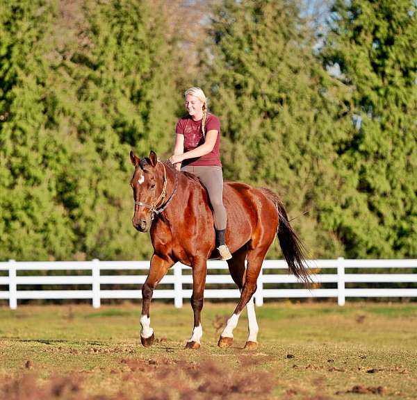 flashy-paint-horse