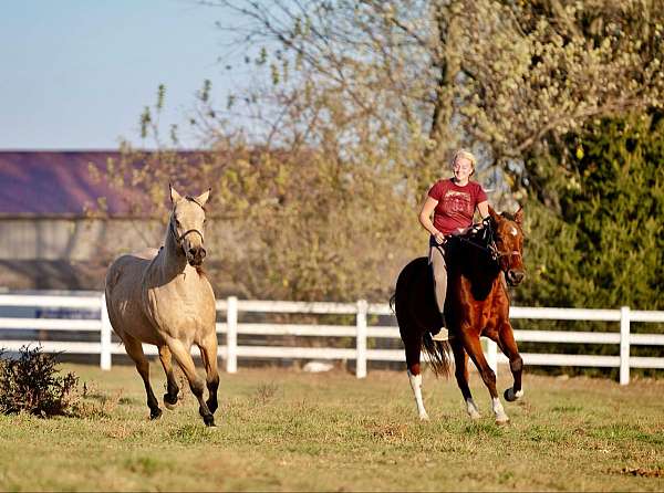 athletic-paint-horse