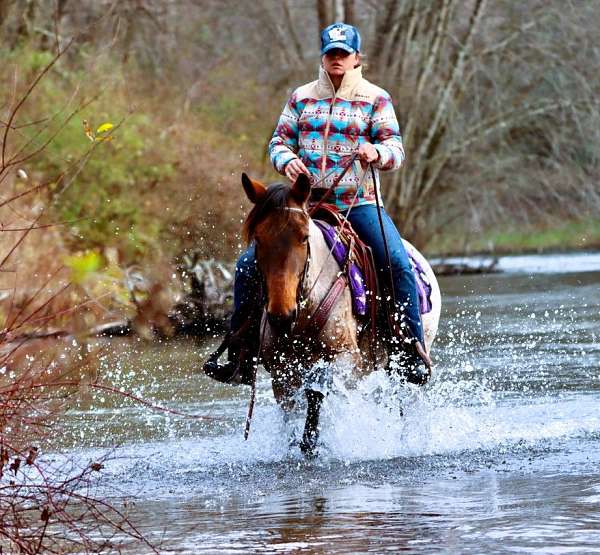 husband-safe-kentucky-mountain-horse