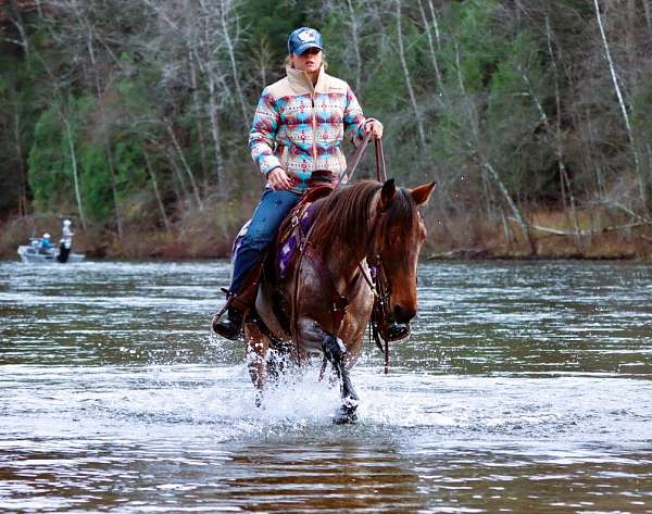 horsemanship-kentucky-mountain-horse