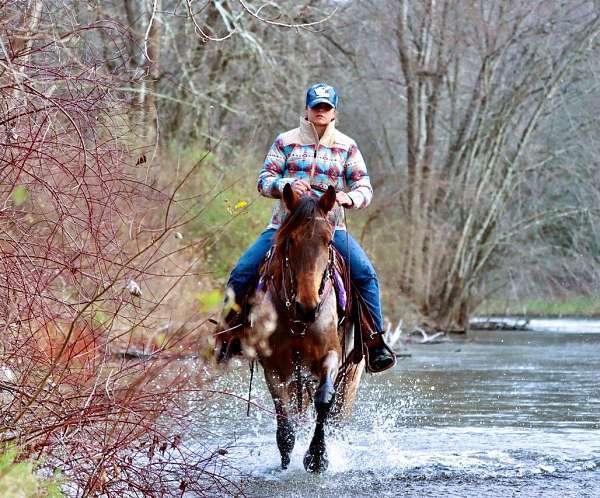 trail-riding-kentucky-mountain-horse