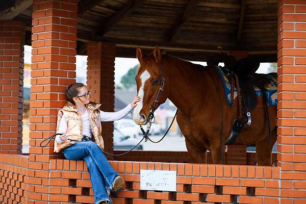 ranch-work-quarter-horse