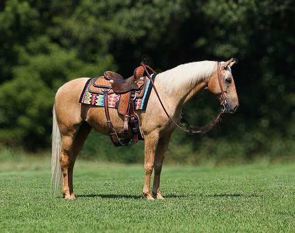 chestnut-blaze-horse