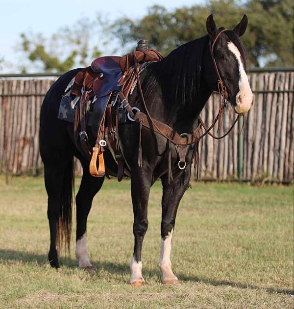 ranch-work-quarter-horse