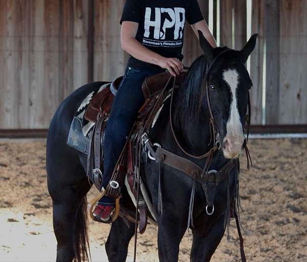 beginner-safe-quarter-horse