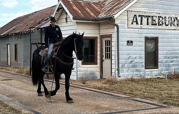 beginner-safe-quarter-horse