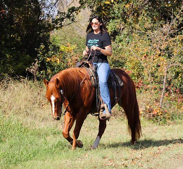 ridden-western-quarter-horse