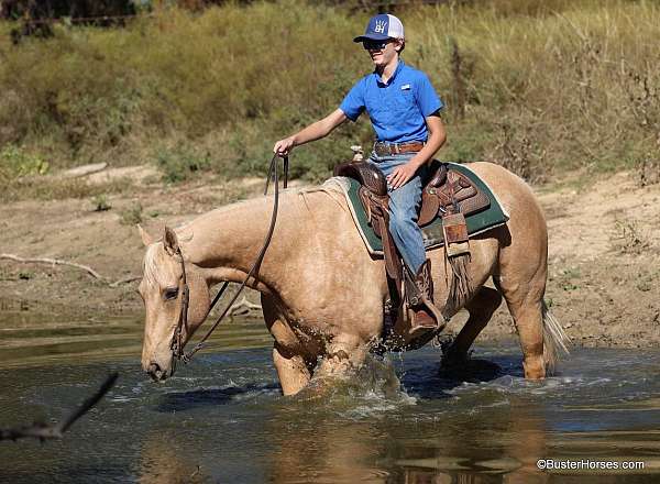 ranch-quarter-horse