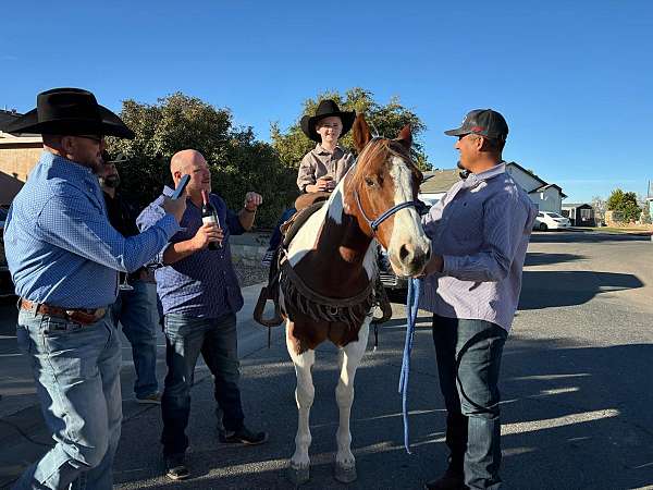 all-around-quarter-horse