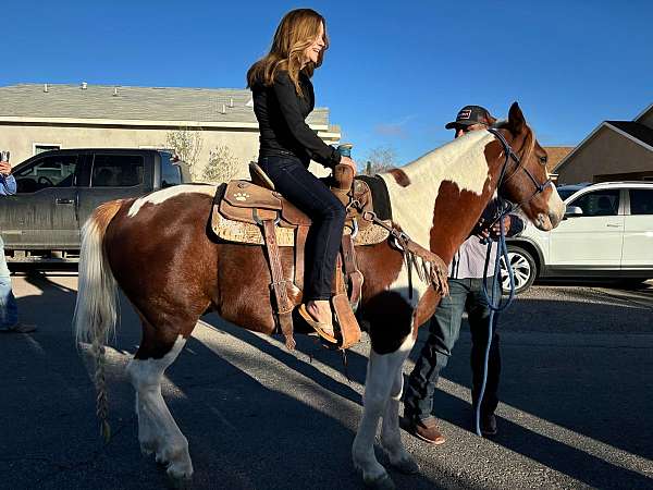 trail-quarter-horse