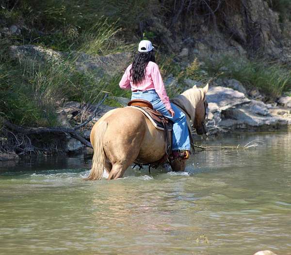 ranch-work-quarter-horse