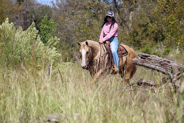 all-around-quarter-horse