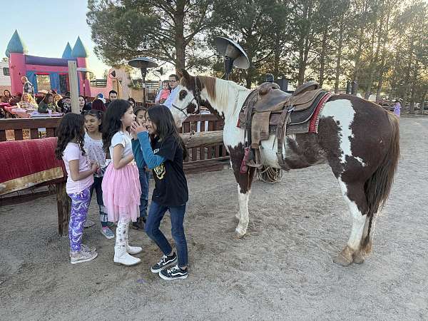 family-horse-quarter