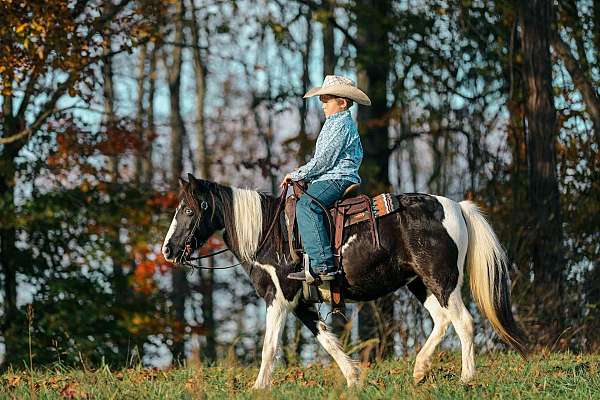 ready-to-saddle-horse