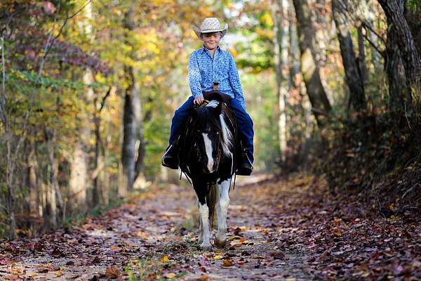 auction-quarter-horse