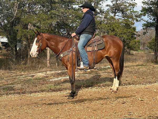 flashy-quarter-horse