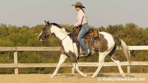 trail-paint-horse