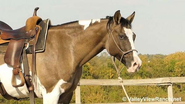 trail-riding-paint-horse